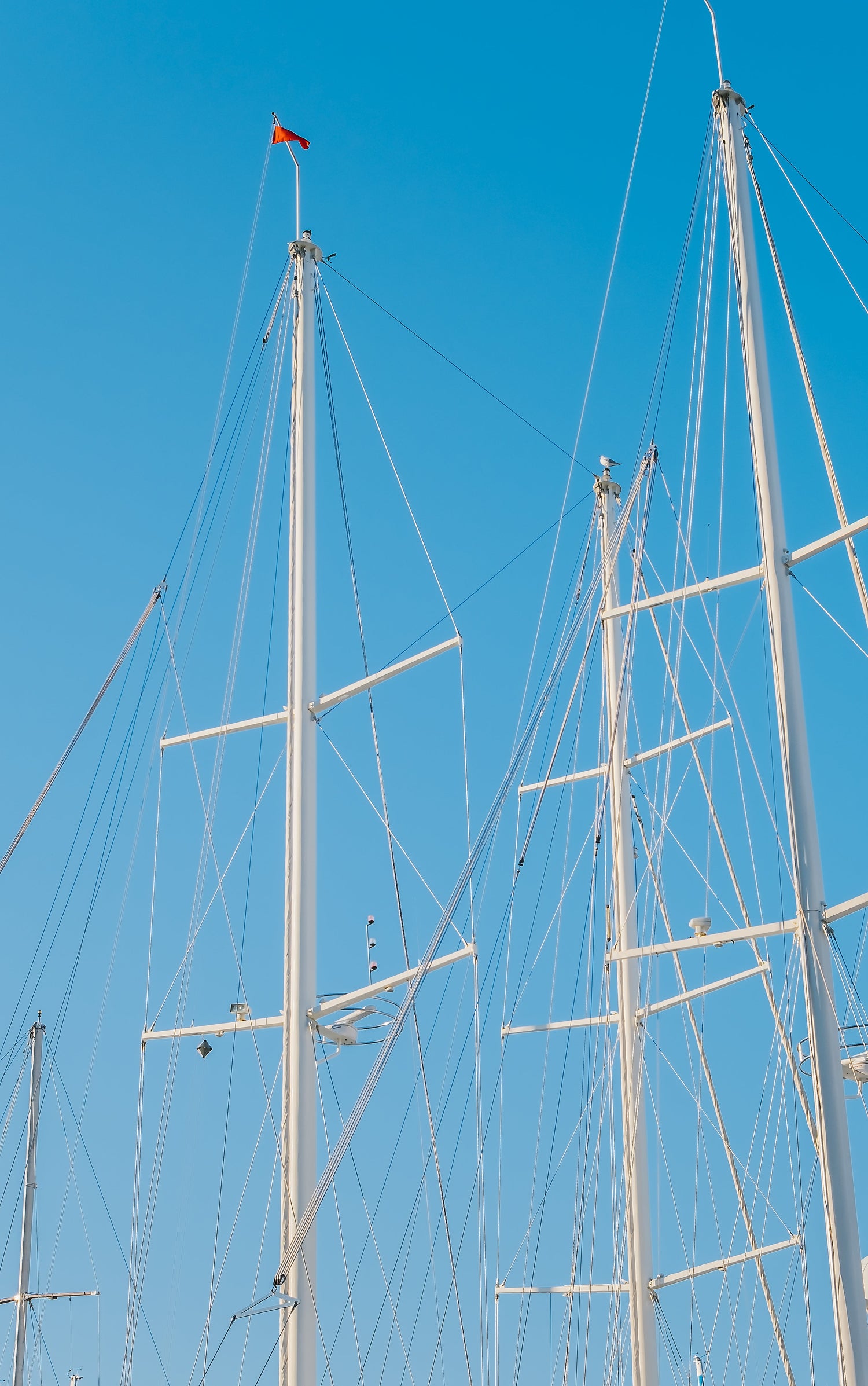 Rigging